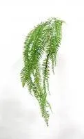 Искусственное растение Папоротник h117 купить в интернте магазине 100kashpo.by в  #REGION_NAME_DECLINE_PP# 