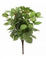 Искусственное растение Фитония Така h40 купить в интернте магазине 100kashpo.by в  #REGION_NAME_DECLINE_PP# 