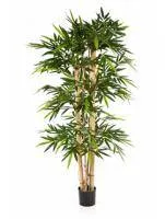 Искусственное растение Бамбук h300 купить в интернте магазине 100kashpo.by в  #REGION_NAME_DECLINE_PP# 