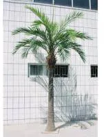 Искусственное растение Гигантская Финиковая пальма h420 купить в интернте магазине 100kashpo.by в  #REGION_NAME_DECLINE_PP# 