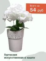 Искусственное растение Гортензия Стаффи h39 белый купить в интернте магазине 100kashpo.by в  #REGION_NAME_DECLINE_PP# 