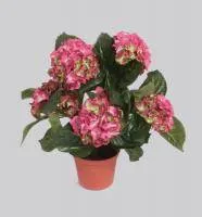 Искусственное растение Гортензия куст малиновый h40 купить в интернте магазине 100kashpo.by в  #REGION_NAME_DECLINE_PP# 