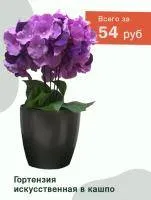 Искусственное растение Гортензия Стаффи h39 пурпурный купить в интернте магазине 100kashpo.by в  #REGION_NAME_DECLINE_PP# 