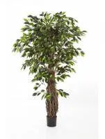 Искусственное растение Фикус Лиана Де Люкс h240 купить в интернте магазине 100kashpo.by в  #REGION_NAME_DECLINE_PP# 